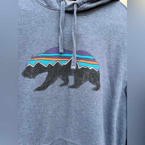 Patagonia Fitz Roy Bear Midweight Sweatshirt Pullover Organic Cotton Hoodie - Picture 3 of 7